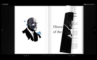 Manu Lechat - Créateur de sites internet - freelance - Nantes - Bretagne - Martinique, expert wordpress nantes, template wordpress sur-mesure, tarif webdesigner